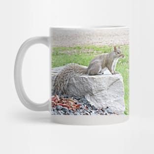 Grey Squirrel on Rock No.1 Mug